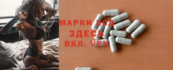 ПСИЛОЦИБИНОВЫЕ ГРИБЫ Алексин