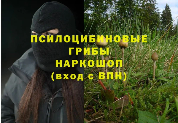 ПСИЛОЦИБИНОВЫЕ ГРИБЫ Алексин