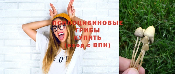 ПСИЛОЦИБИНОВЫЕ ГРИБЫ Алексин