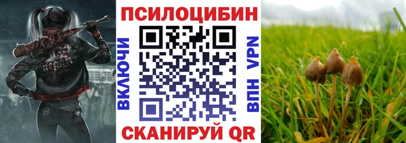 Псилоцибиновые грибы Cubensis  Чухлома 